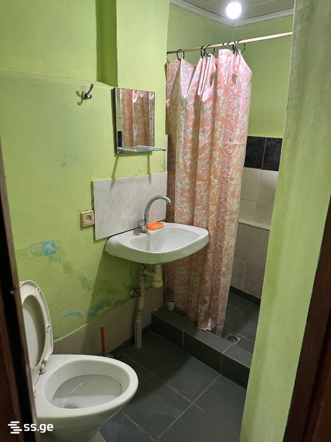 2 Room Private House For Rent. Mukhiani view 3