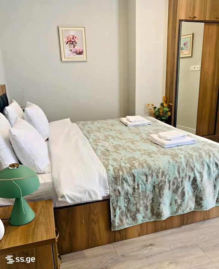 2 Room Flat For Sale view 3