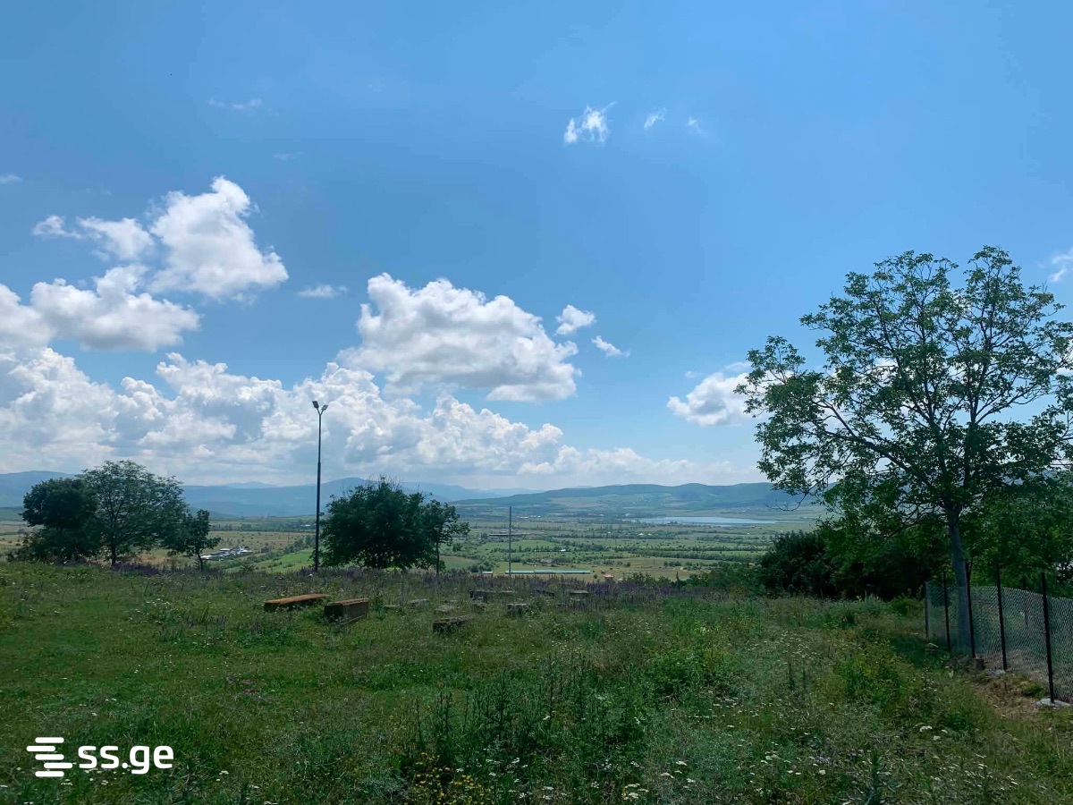 Land For Sale. Bazaleti view 11