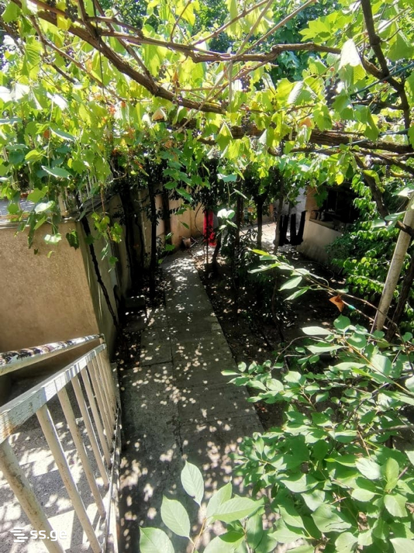 10 Room Private House For Sale view 12