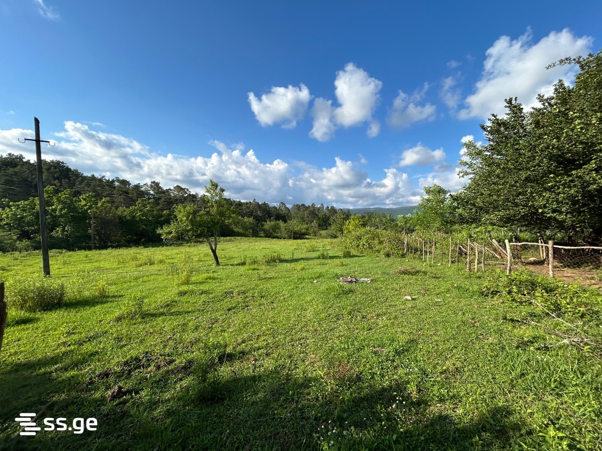 Land For Sale. Tskaltubo view 2