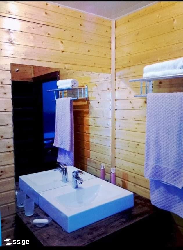 1 Room Flat Daily Rent. Bakuriani, 1 of 5