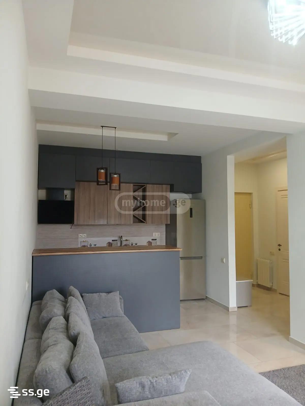 2 Room Flat For Rent. Saburtalo, 2 of 11