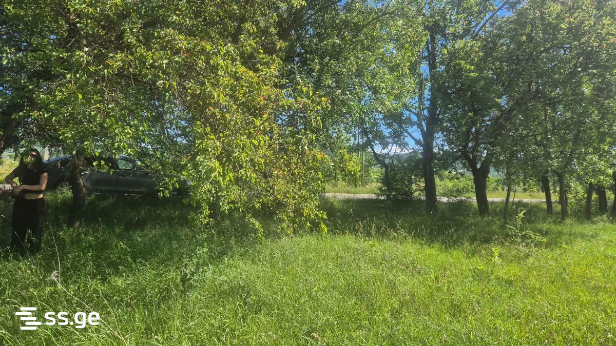 For Sale Sasoplo-Sameurneo Land Plot Dushetis Munitsipalitetshi view 9