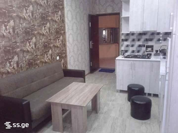 1 Room Flat Daily Rent. Batumi view 3