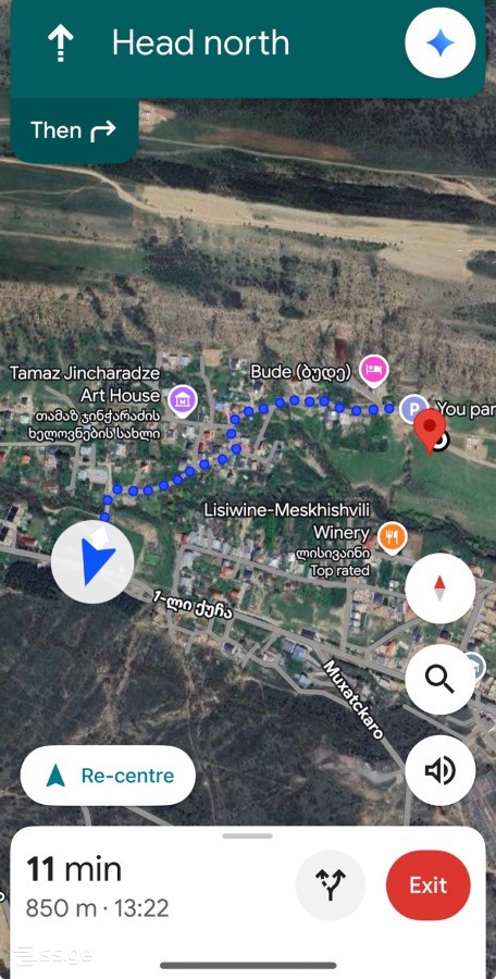Land For Rent. Lisi Lake, 9 of 10