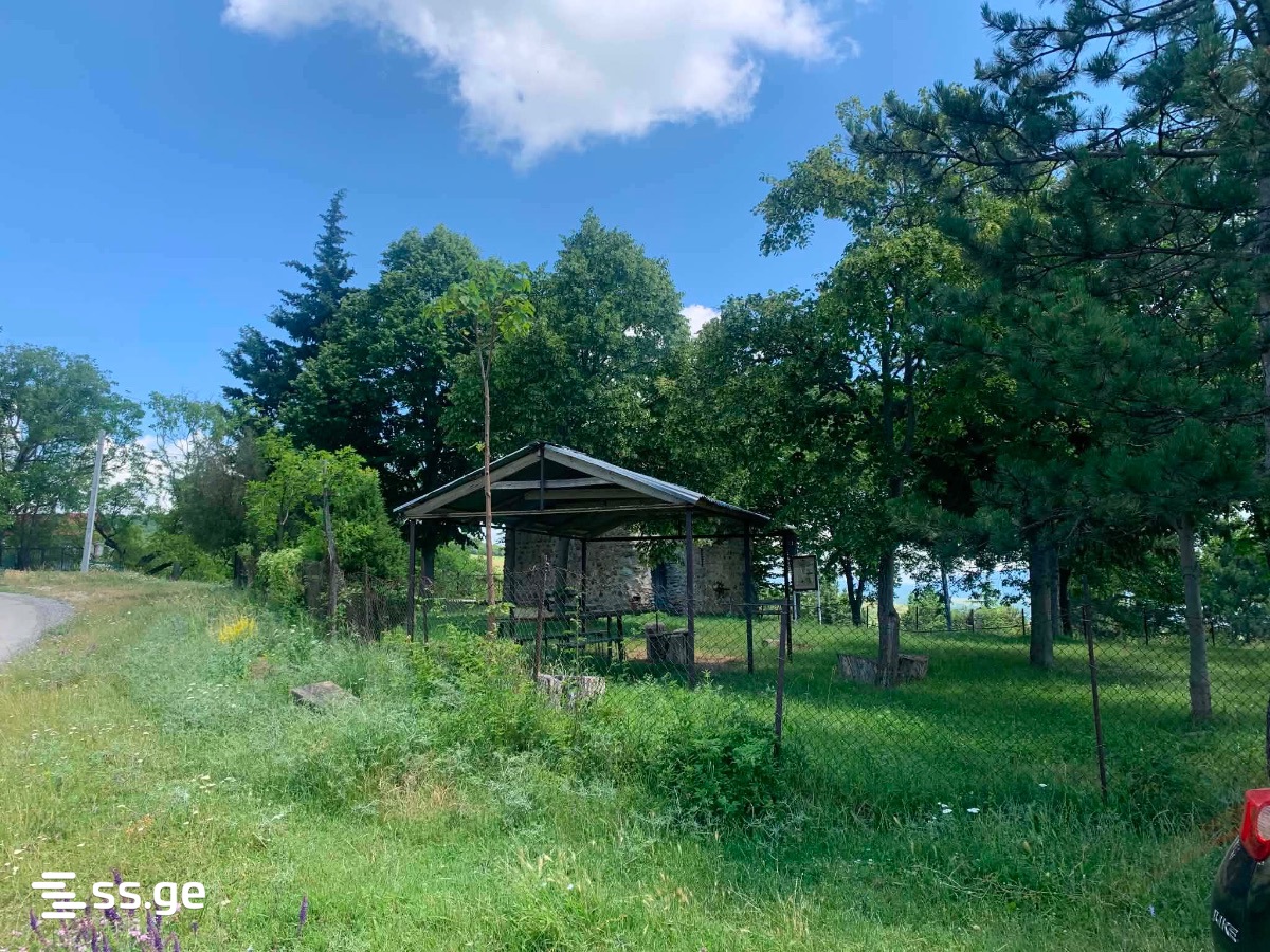 Land For Sale. Bazaleti view 4
