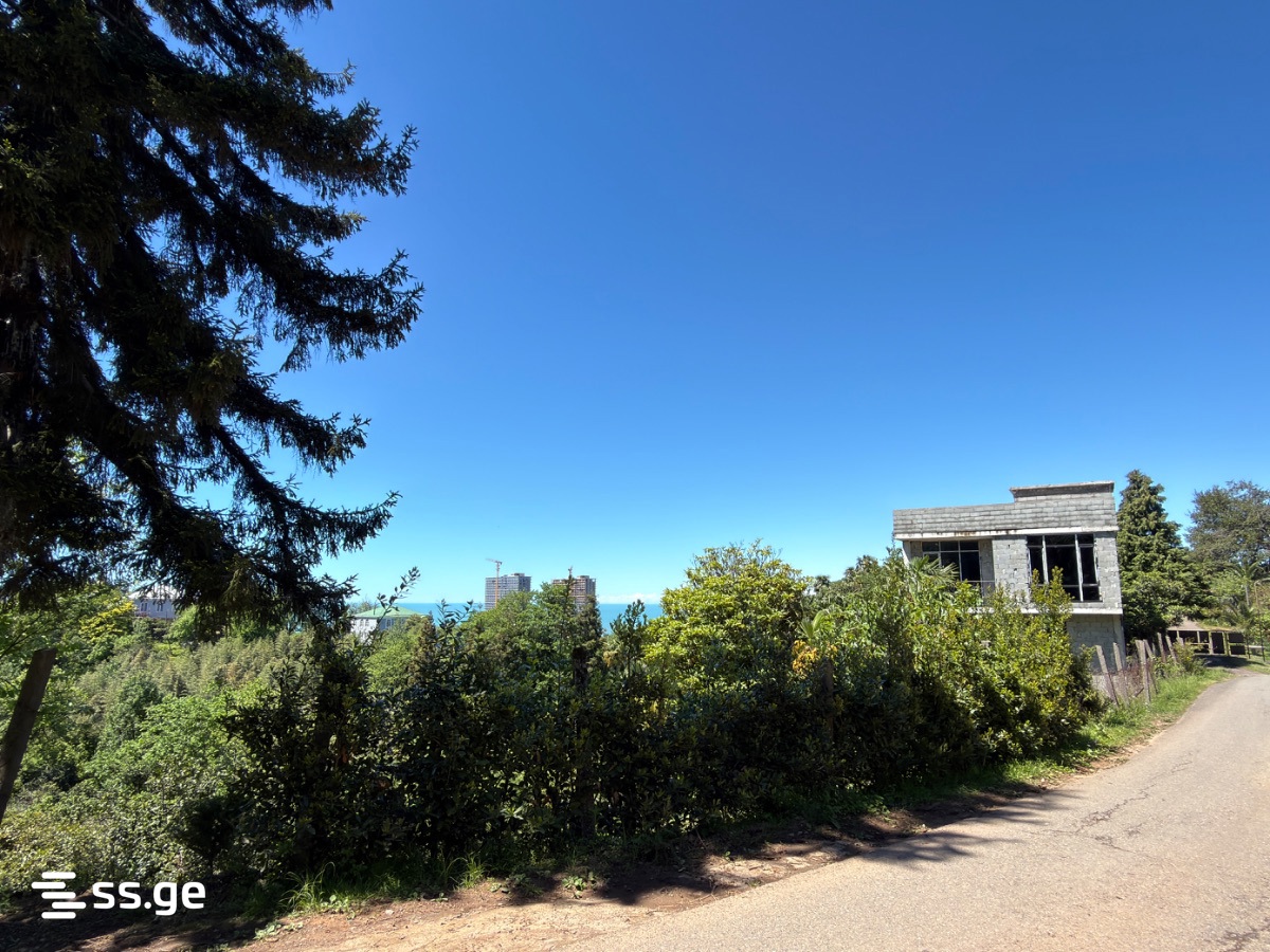 Land For Sale. Tsikhisdziri view 5