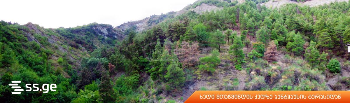 5 Room Flat For Sale view 17