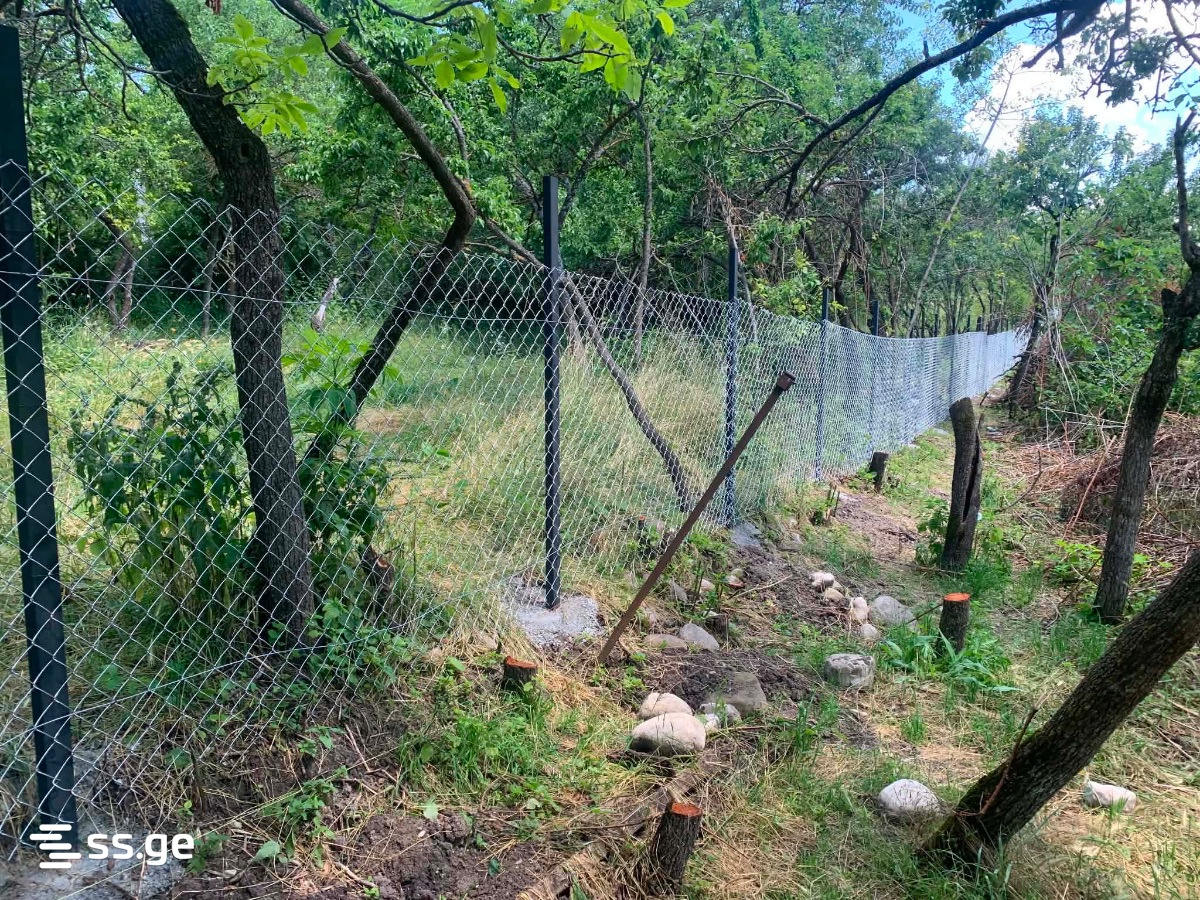 Land For Sale. Bazaleti view 15