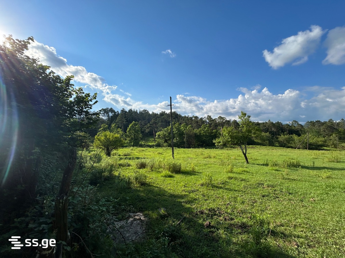 Land For Sale. Tskaltubo view 1