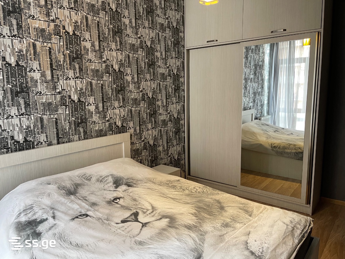2 Room Flat Daily Rent. Didi Digomi, 6 of 8