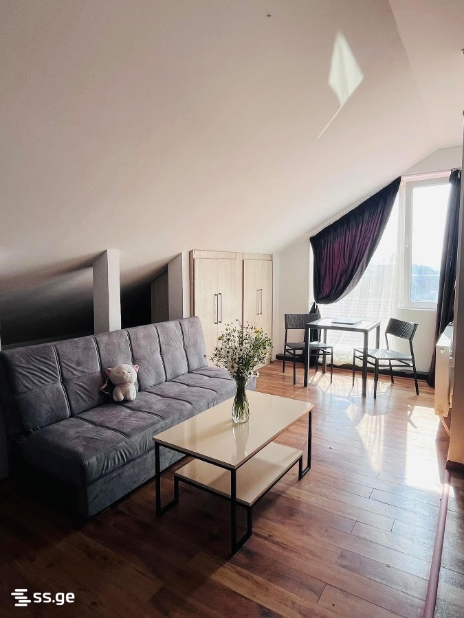 1 Room Flat Daily Rent. Bakuriani, 5 of 5