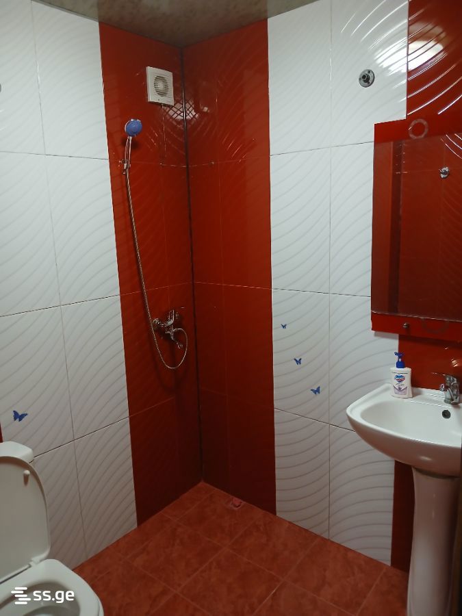 2 Room Flat Daily Rent. Kutaisi view 1