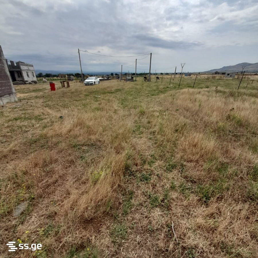 Land For Sale. Krtsanisi view 4