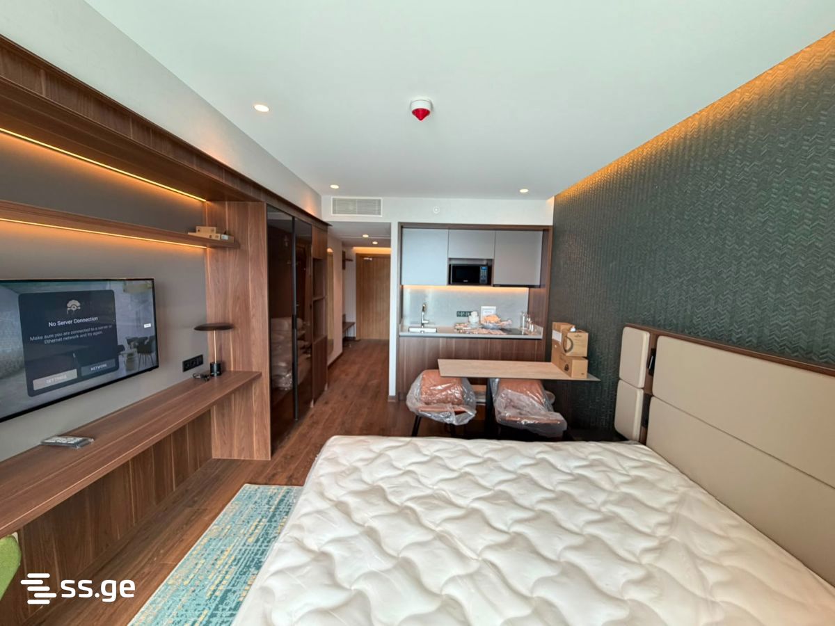 1 Room Flat Daily Rent. Batumi view 11
