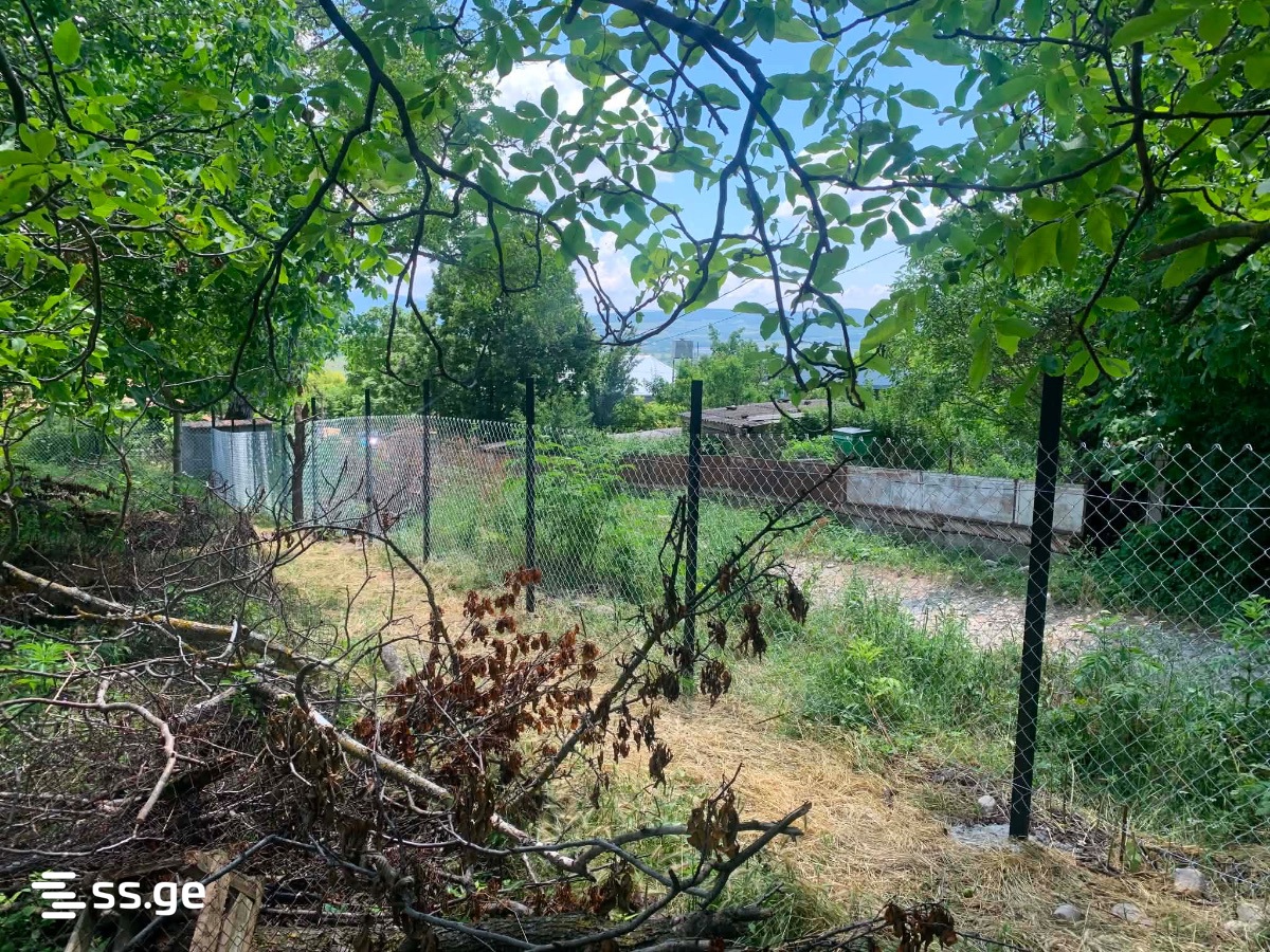 Land For Sale. Bazaleti view 8