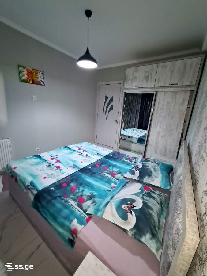 2 Room Flat Daily Rent. Varketili, 2 of 12