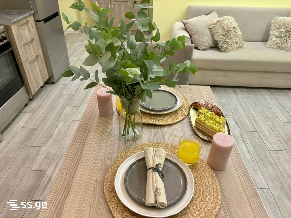 3 Room Flat Daily Rent. Saburtalo, 11 of 12