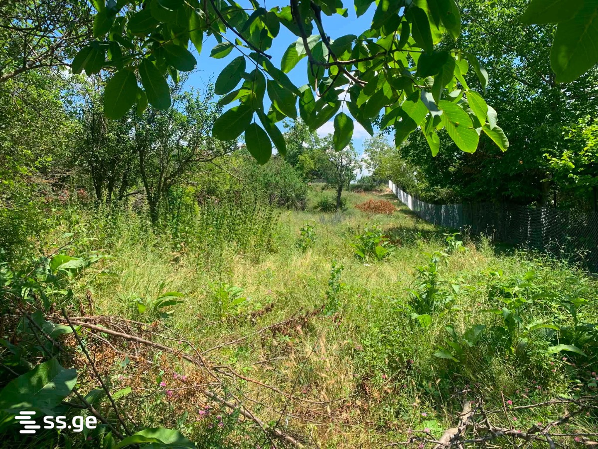 Land For Sale. Bazaleti view 3