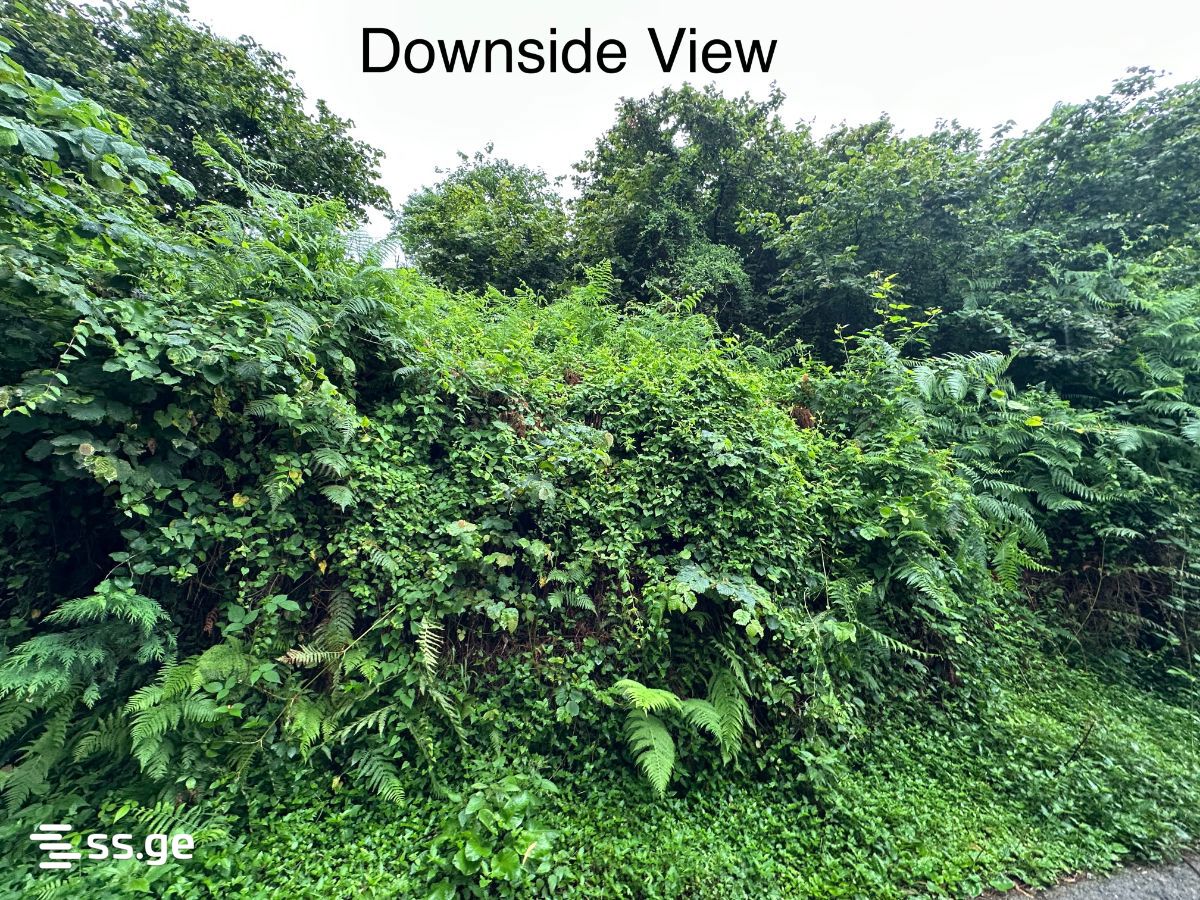 For Sale Sasoplo-Sameurneo Land Plot Khelvachauris Munitsipalitetshi view 17
