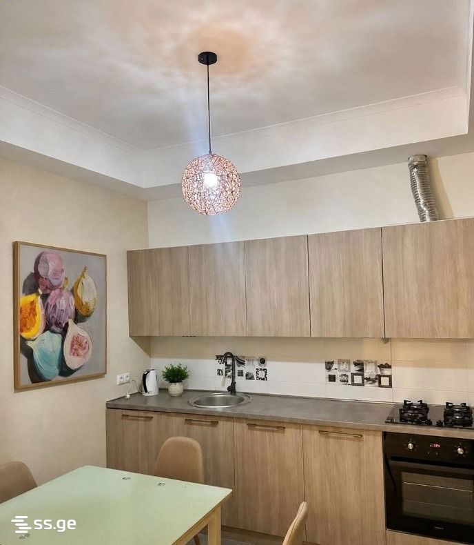 2 Room Flat For Rent. Mtatsminda, 6 of 7