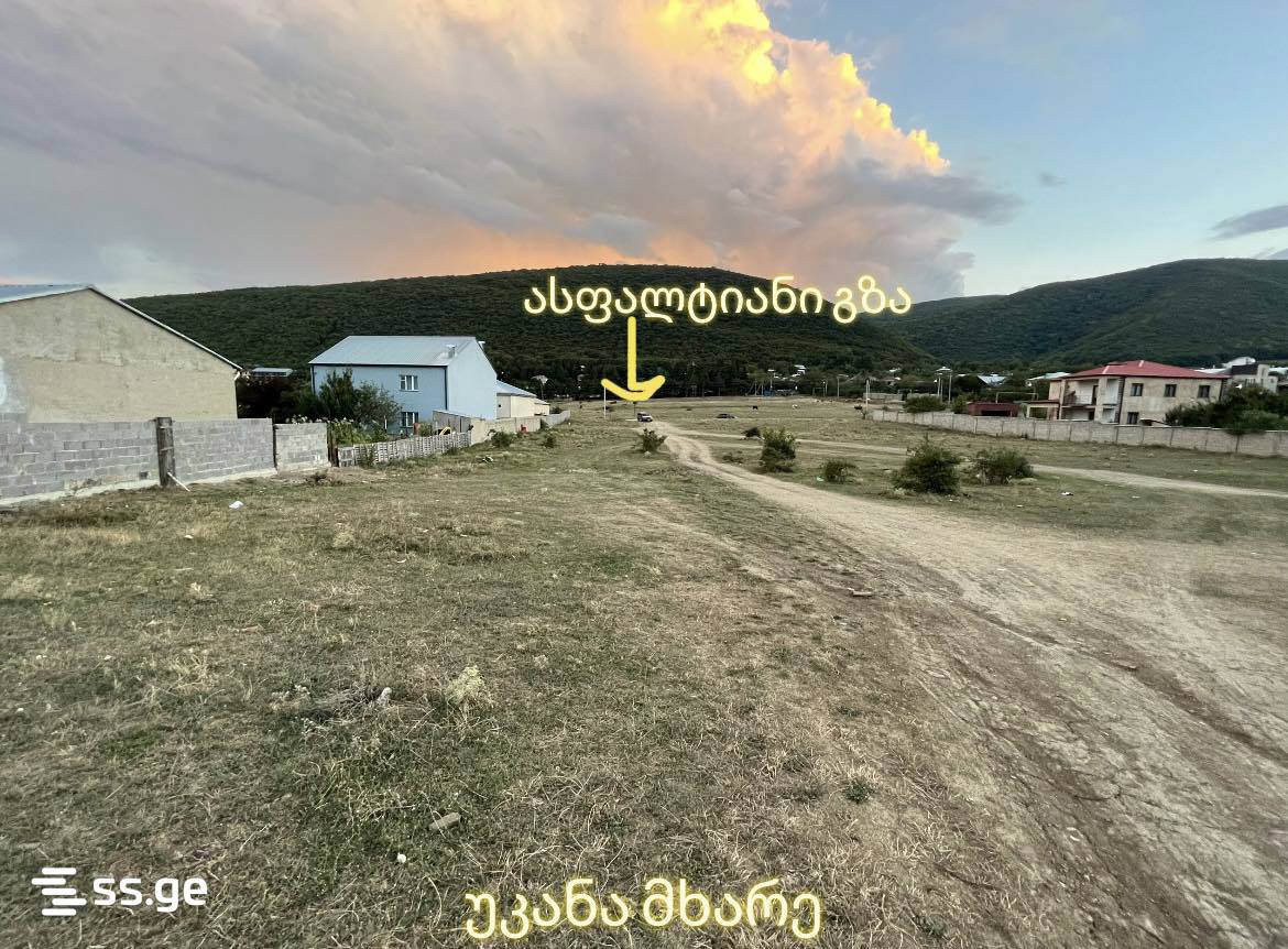 იყიდება მიწა ცოდორეტიში view 3