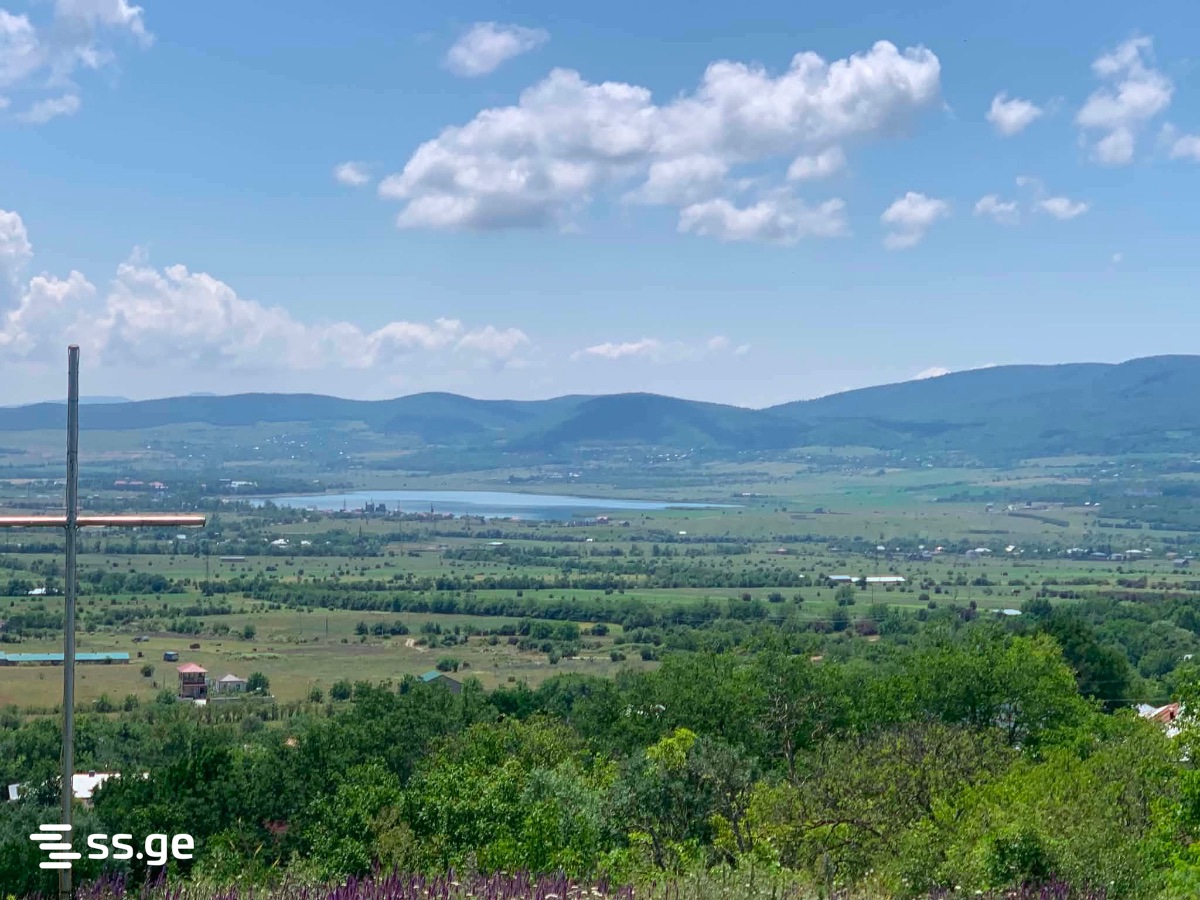 Land For Sale. Bazaleti view 9