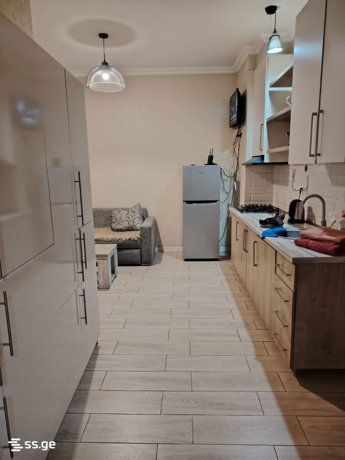 2 Room Flat Daily Rent. Didube, 2 of 6