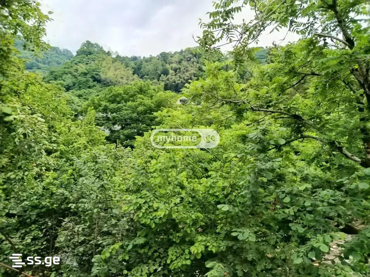 2 Room Private House For Rent. Batumi, 11 of 12