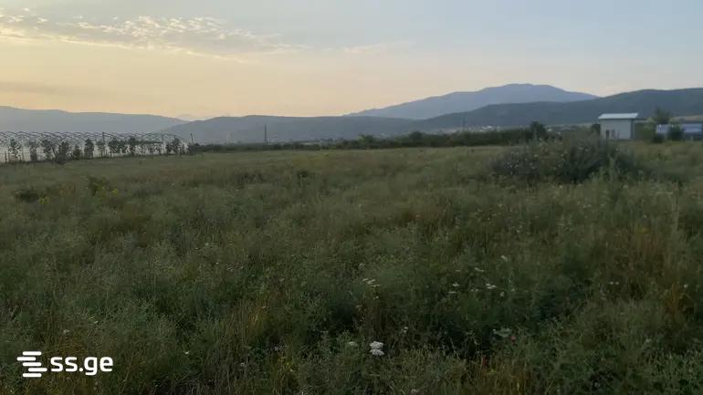 Продажа Земля в сагурамо, 10 of 10