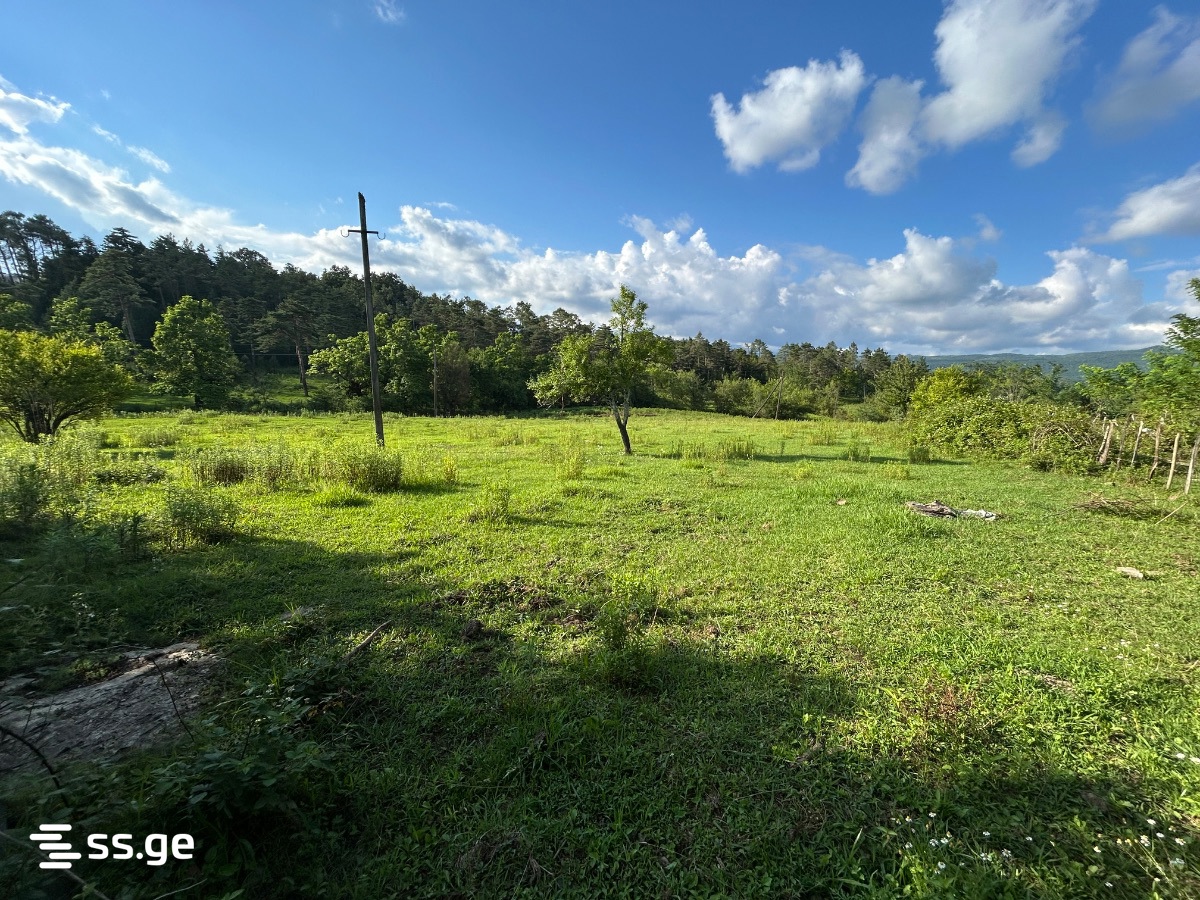 Land For Sale. Tskaltubo view 5