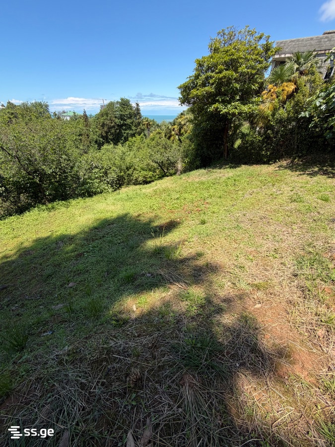 Land For Sale. Tsikhisdziri view 6