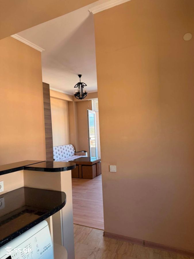 2 Room Flat For Rent. Mukhiani, 1 of 10