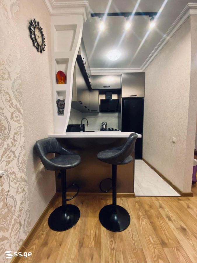 2 Room Flat Daily Rent. Didube, 4 of 8