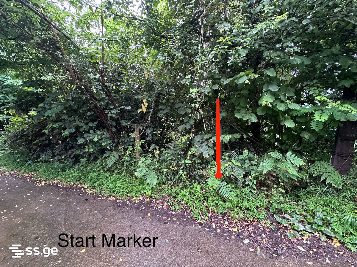 For Sale Sasoplo-Sameurneo Land Plot Khelvachauris Munitsipalitetshi view 12