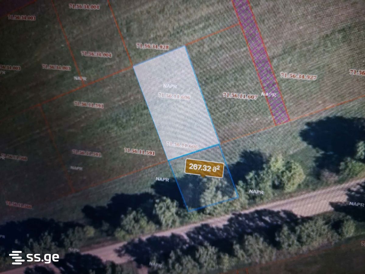 For Sale Sasoplo-Sameurneo Land Plot Dushetis Munitsipalitetshi view 8