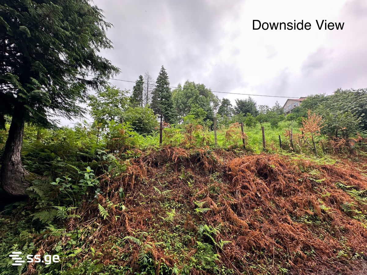 For Sale Sasoplo-Sameurneo Land Plot Khelvachauris Munitsipalitetshi view 11