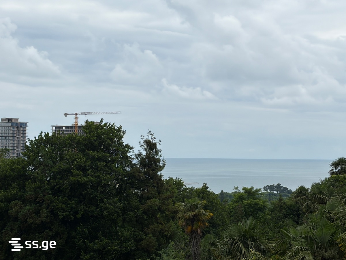 Land For Sale. Tsikhisdziri view 2