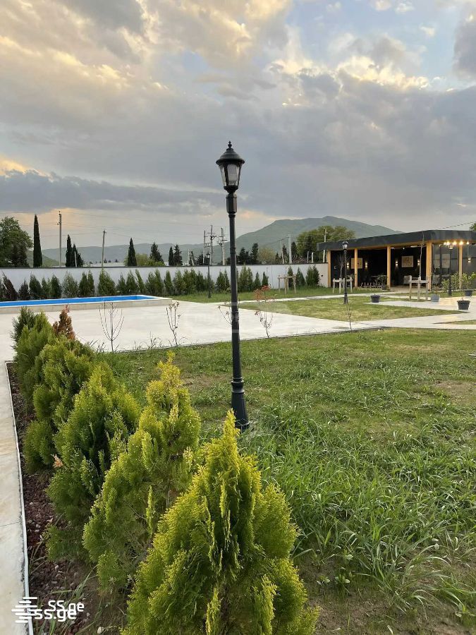 7 Room Private House Daily Rent. Saguramo, 9 of 12