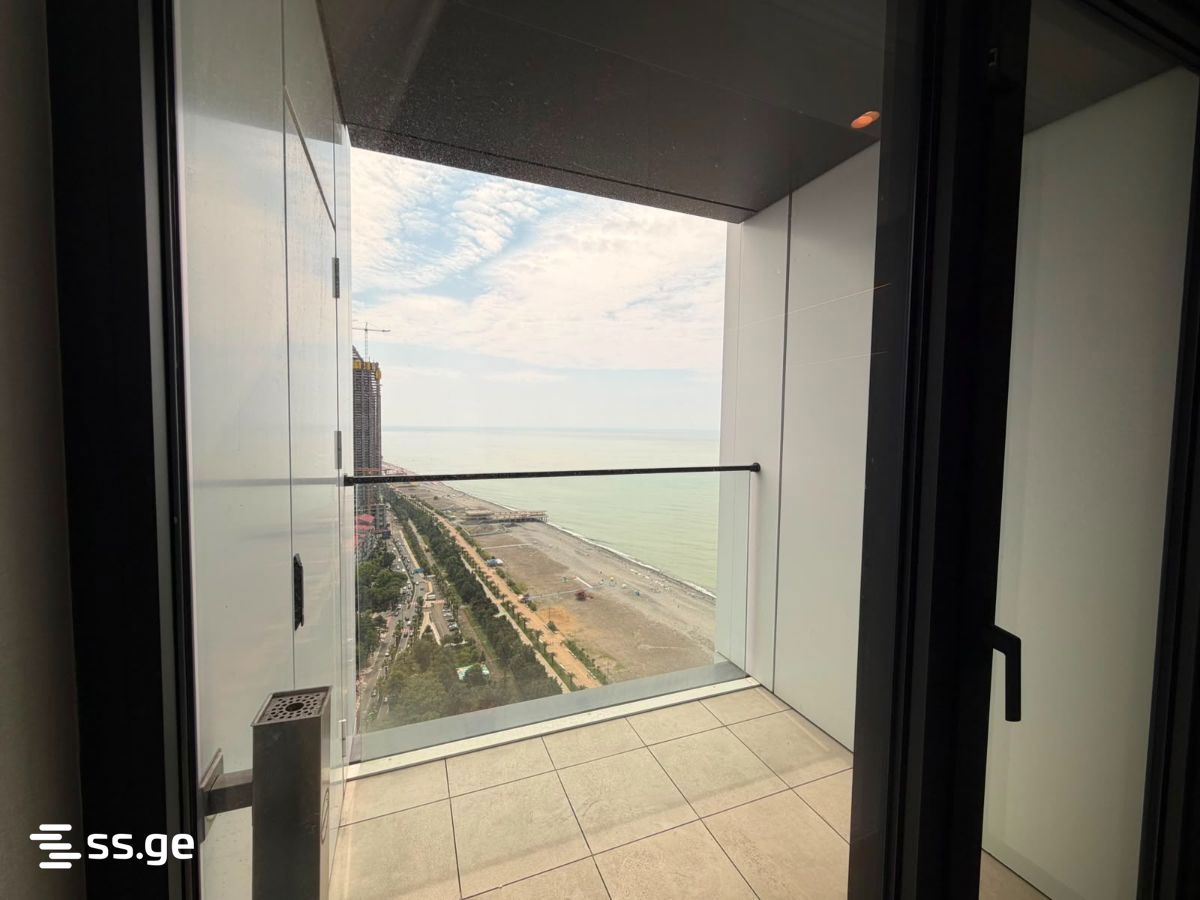 1 Room Flat Daily Rent. Batumi view 12