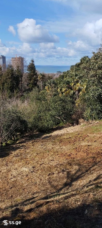 Land For Sale. Tsikhisdziri view 1