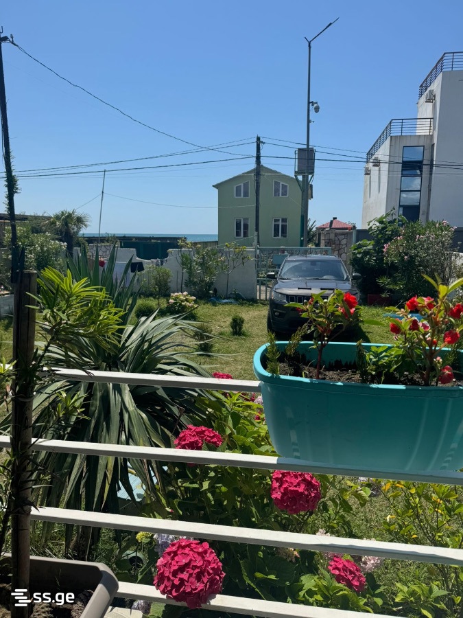 6 Room Private House Daily Rent. Grigoleti view 3