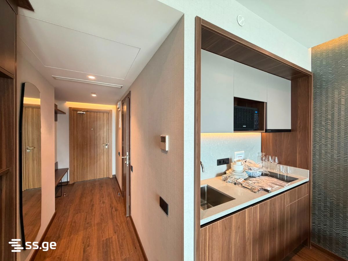 1 Room Flat Daily Rent. Batumi view 3
