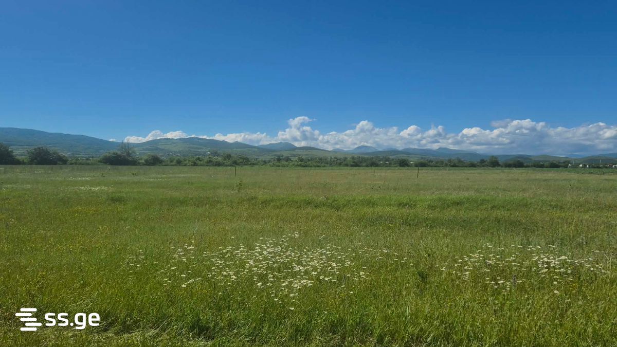 For Sale Sasoplo-Sameurneo Land Plot Dushetis Munitsipalitetshi view 10