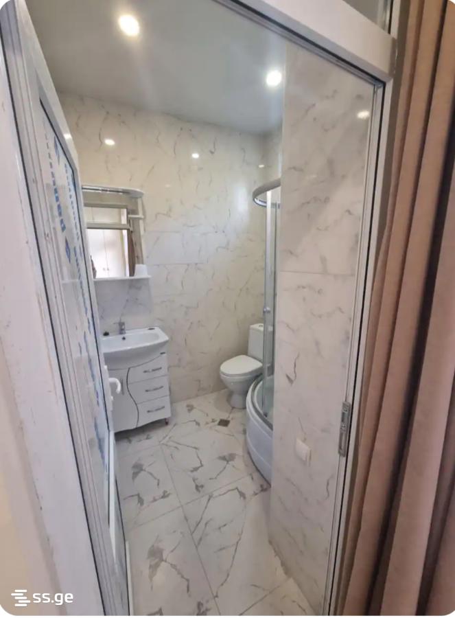 1 room Flat For Rent. Nadzaladevi - Widok 4