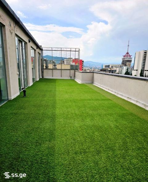 Office For Rent. Avlabari view 2