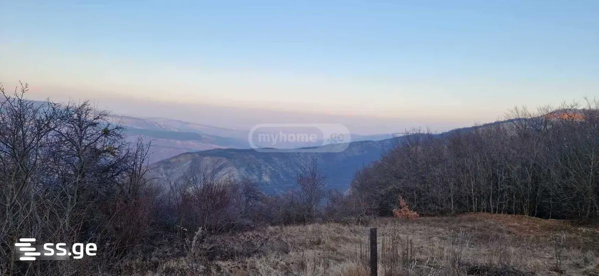 იყიდება მიწა ბეტანიაში view 1