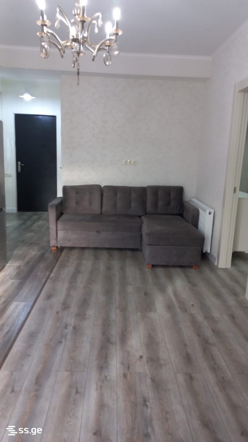 3 Room Flat For Rent. Rustavi view 3