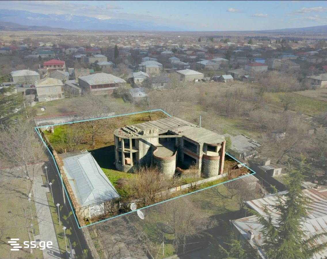 Commercial Space For Sale. Akhmeta view 4